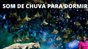 BARULHO DE CHUVA REAL PARA DORMIR E RELAXAR PROFUNDAMENTE - REAL RAIN NOISE TO SLEEP AND RELAX!